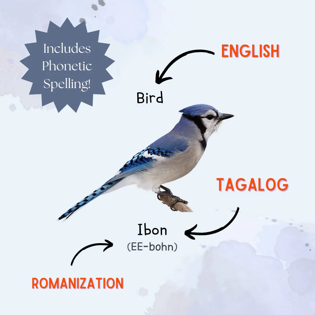 My First Tagalog Shapes, Colors, and Numbers, Board Book: Bilingual English-Tagalog - Image 5