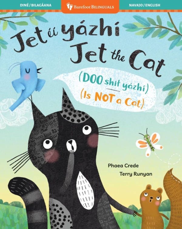 Jet the Cat (Is Not a Cat) (Bilingual Portuguese & English)